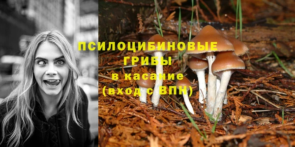 гашиш Зеленодольск