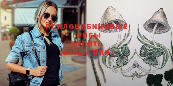 ПСИЛОЦИБИНОВЫЕ ГРИБЫ Видное