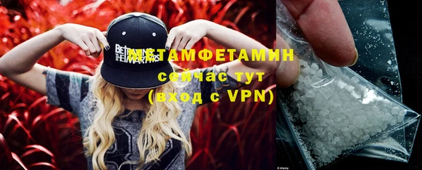 ПСИЛОЦИБИНОВЫЕ ГРИБЫ Видное
