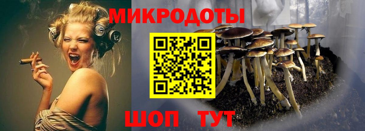 Канск  Псилоцибиновые грибы MAGIC MUSHROOMS  Псилоцибиновые грибы MAGIC MUSHROOMS  Вход с VPN 